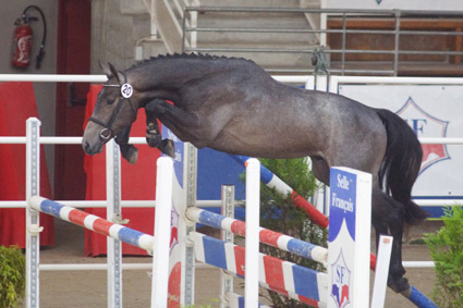salto1