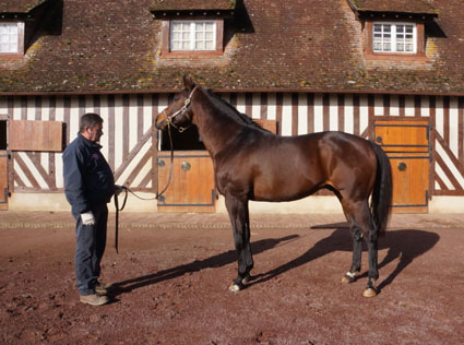 DSC04482 - Copie