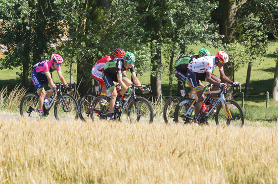 TDF18