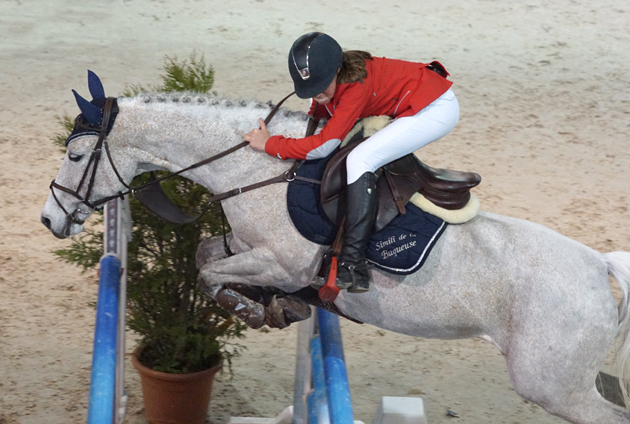 poneys6
