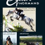EQUIN NORMAND