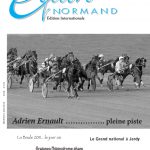 EQUIN NORMAND