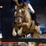 JUMPING MALINES