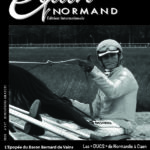 EQUIN NORMAND