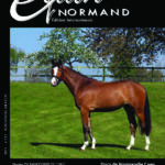 EQUIN NORMAND