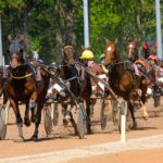 HIPPODROME DE GRAIGNES