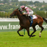 LE LION D'ANGERS