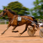 HIPPODROME DE GRAIGNES