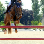 NORMANDIE  HORSE SHOW