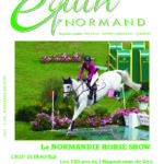 EQUIN NORMAND