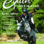 EQUIN NORMAND
