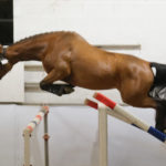 SAINTE MARIE DU MONT