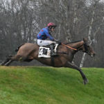 LA MANCHE sur le toit du monde......hippique