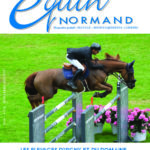 EQUIN  NORMAND