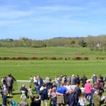 Le Lion d'Angers - Rânes