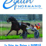 EQUIN NORMAND