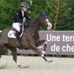 HARAS DU PIN