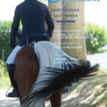 EQUIN NORMAND  est paru !