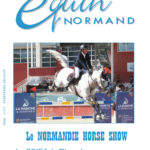EQUIN NORMAND